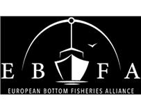 EBFA - A nova actualização do site já está online 