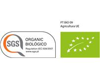 Primeira Certificação do Modo de Produção Aquícola Biológico atribuída pela SGS a “Algarve Offshore Seashells”     